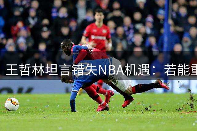 王哲林坦言错失NBA机遇：若能重选必将赴美逐梦